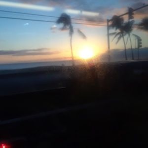 Meet your Posher, Joycelyn